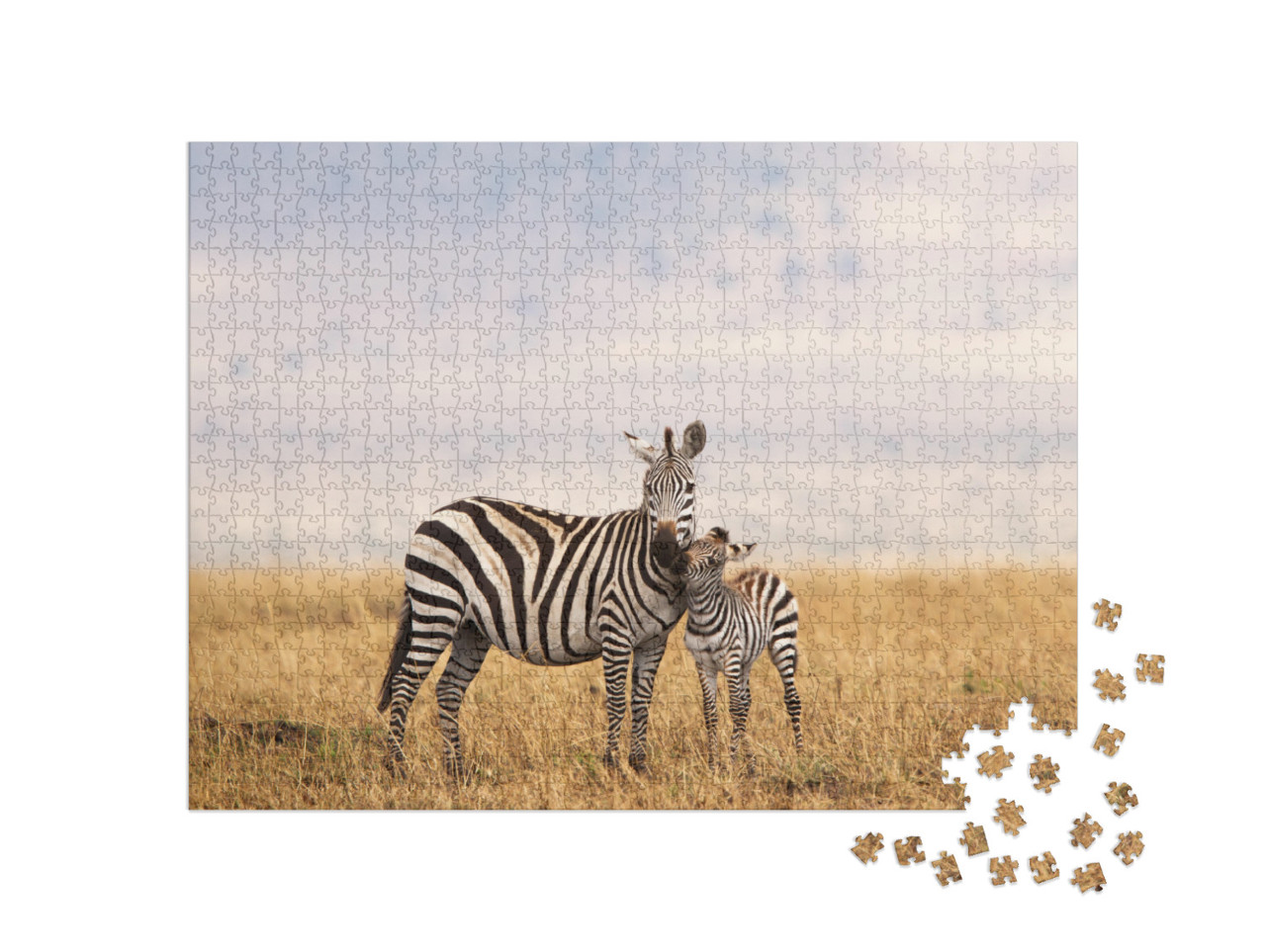 Puzzle 1000 Teile „Burchell- oder Steppenzebra in Tansania: Mutter mit Jungtier“