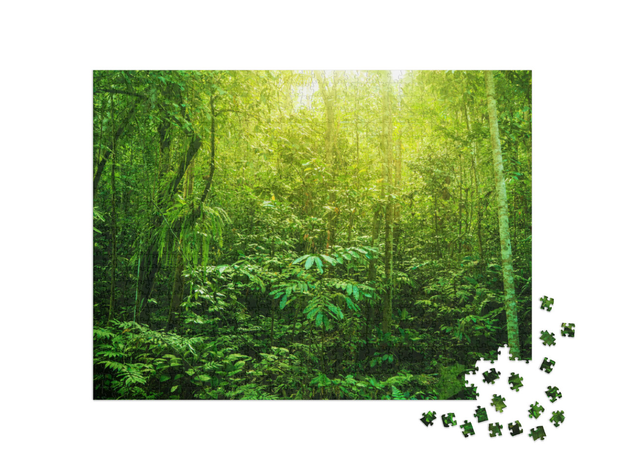 Puzzle 1000 Teile „Tropischer Wald mit seiner unglaublichen grünen Vielfalt“