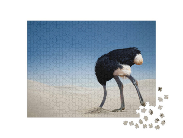 Puzzle 1000 Teile „Strauß steckt seinen Kopf in den Sand, Tsavo East National Park, Kenia, Afrika“