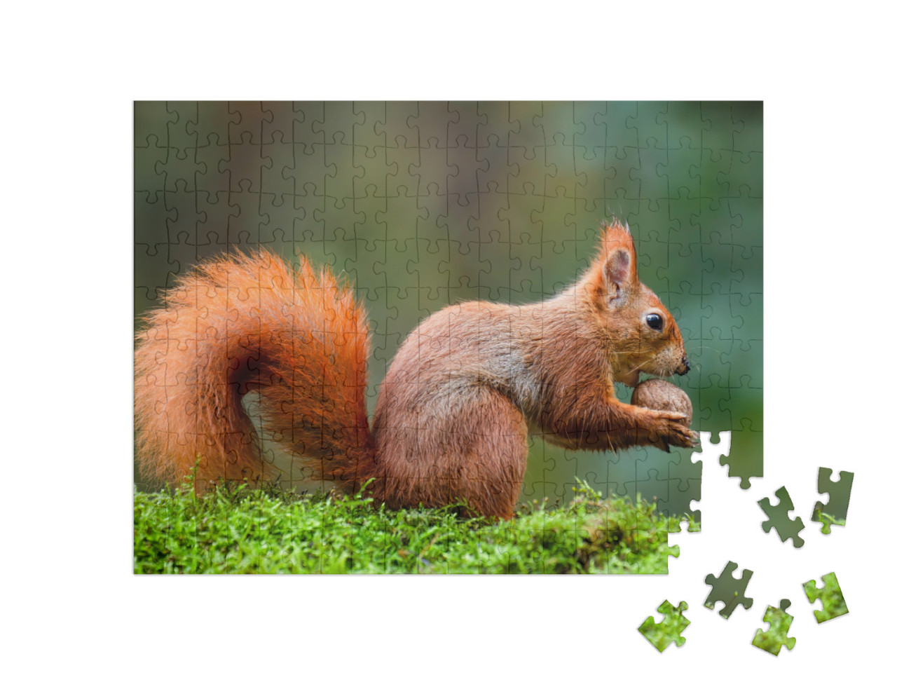 Puzzle 200 Teile „Ein rotes Eichhörnchen frisst eine Nuss auf einem Moosstamm“