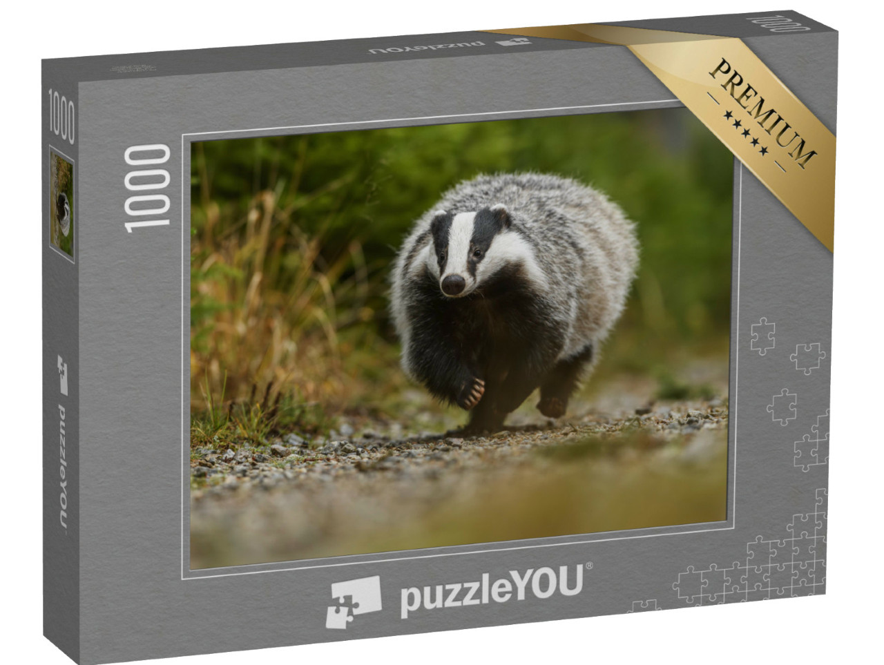 Puzzle 1000 Teile „Dachs läuft durch den Wald, Herbst, Deutschland“
