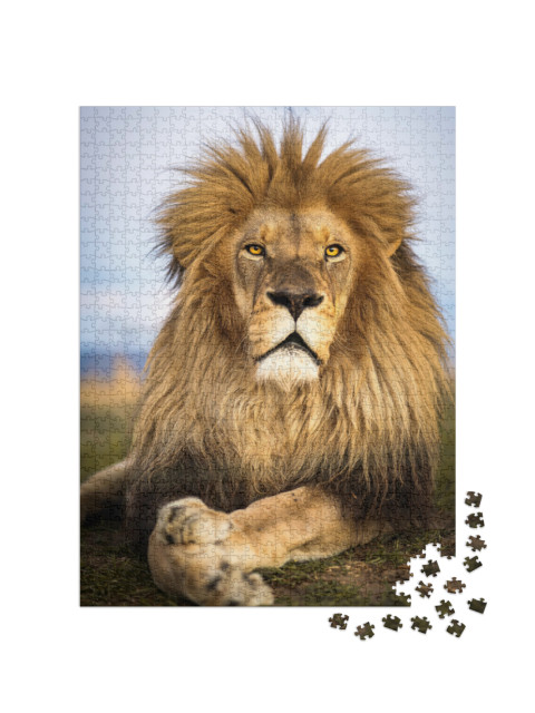 Puzzle 1000 Teile „Wilde Löwen in Südafrika“