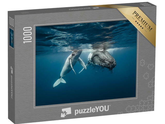 Puzzle 1000 Teile „Eine Buckelwal-Mutter und ihr Kalb schwimmen nebeneinander im kristallklaren Wasser“