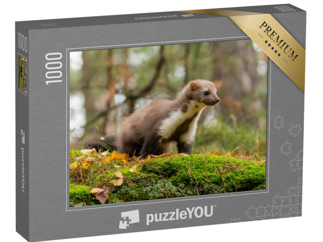 Puzzle 1000 Teile „Aufmerksamer Europäischer Baummarder“