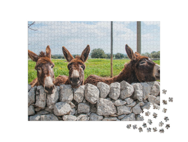 Puzzle 1000 Teile „Niedliche Esel blicken durch eine Steinmauer, Modica“