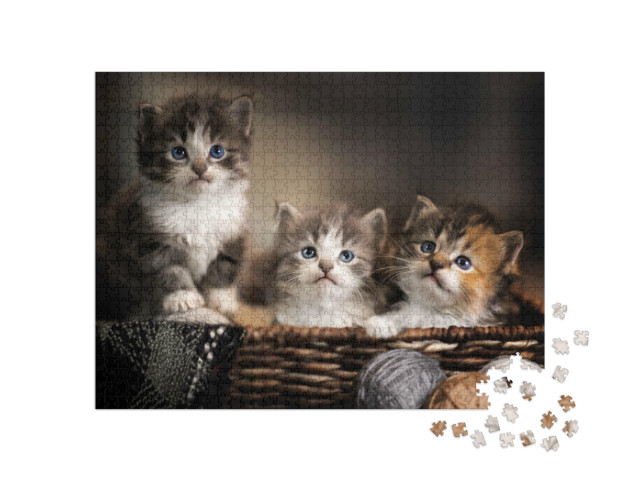 Puzzle 1000 Teile „Drei niedliche Kätzchen, Großaufnahme“