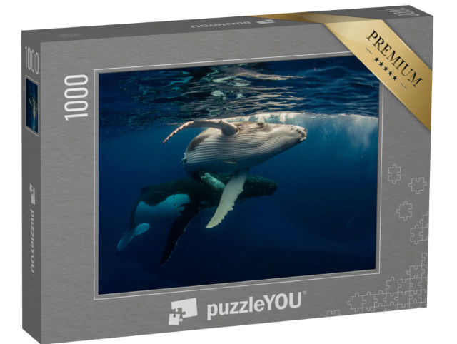Puzzle 1000 Teile „Buckelwal und Baby beim Schwimmen direkt unter der Wasseroberfläche“