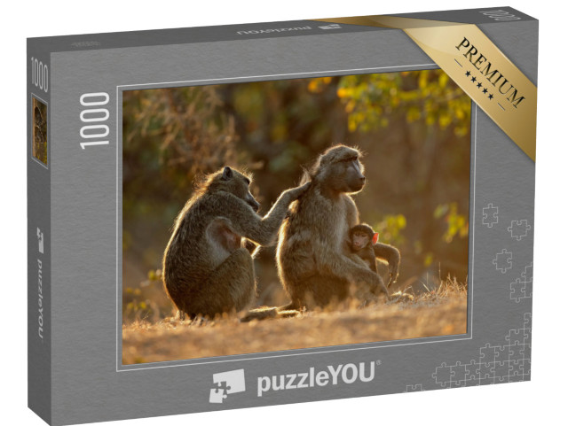 Puzzle 1000 Teile „Familienleben bei den Chacma-Pavianen, Kruger National Park, Südafrika“