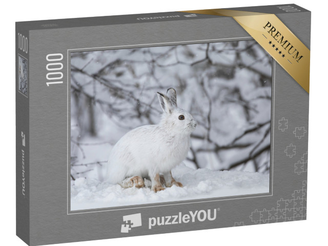 Puzzle 1000 Teile „Weißer Schneehase im kanadischen Winter“