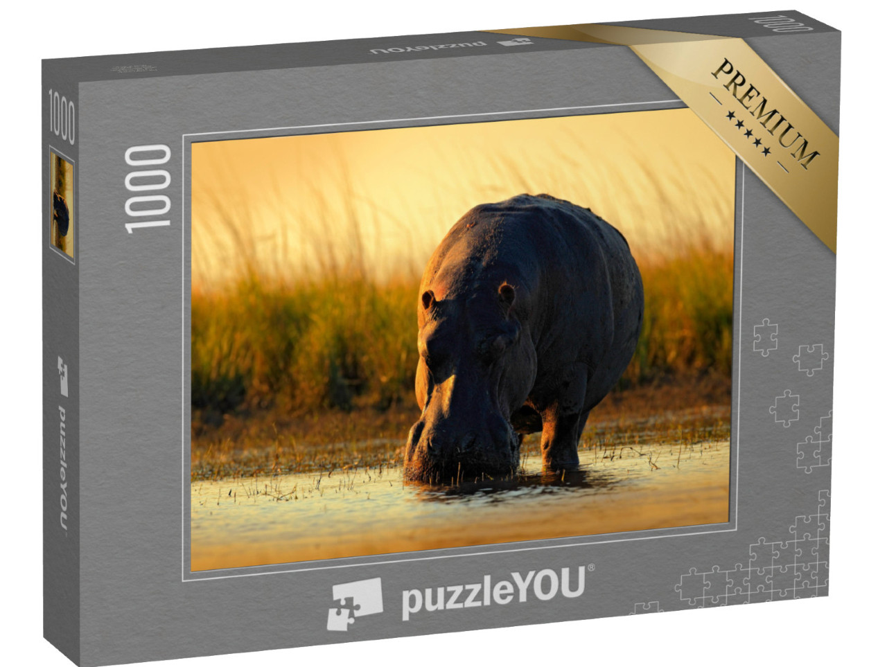 Puzzle 1000 Teile „Afrikanisches Flusspferd im Abendlicht, Botswana, Afrika“