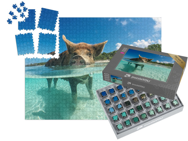 Puzzle „Wasserbegeistertes Wildschwein auf den Bahamas, Karibik“ | SMART SORTED® 1000 Teile