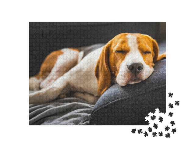 Puzzle 1000 Teile „Liebenswerter Beagle auf dem Sofa, Hund“