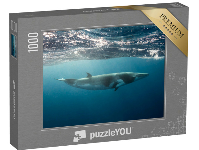 Puzzle 1000 Teile „Kleiner Wal, der beim Schnorcheln und Tauchen am Great Barrier Reef gesehen wird“