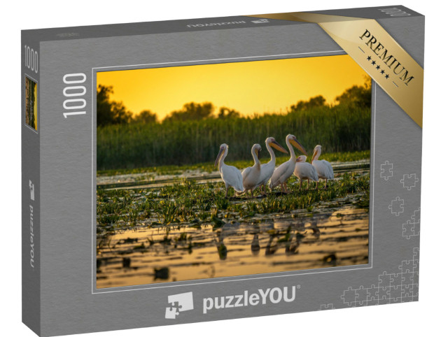 Puzzle 1000 Teile „Pelikane bei Sonnenuntergang, Donau, Rumänien“