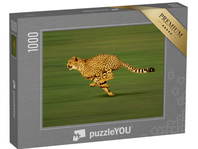 Puzzle 1000 Teile „Ausgewachsener Gepard im Sprint“