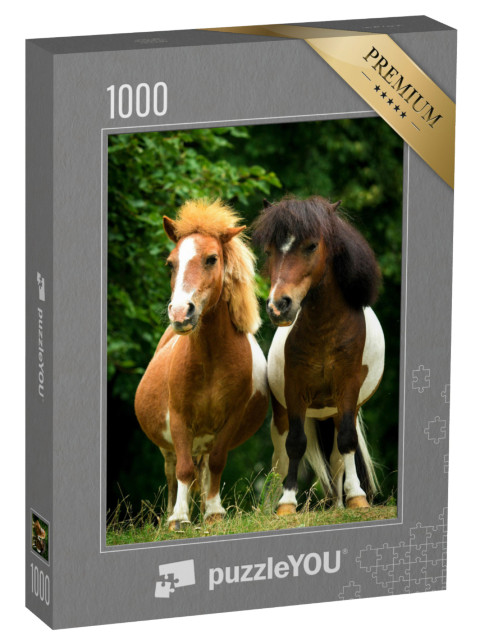 Puzzle 1000 Teile „Zwei kleine Paintponys auf der Weide“