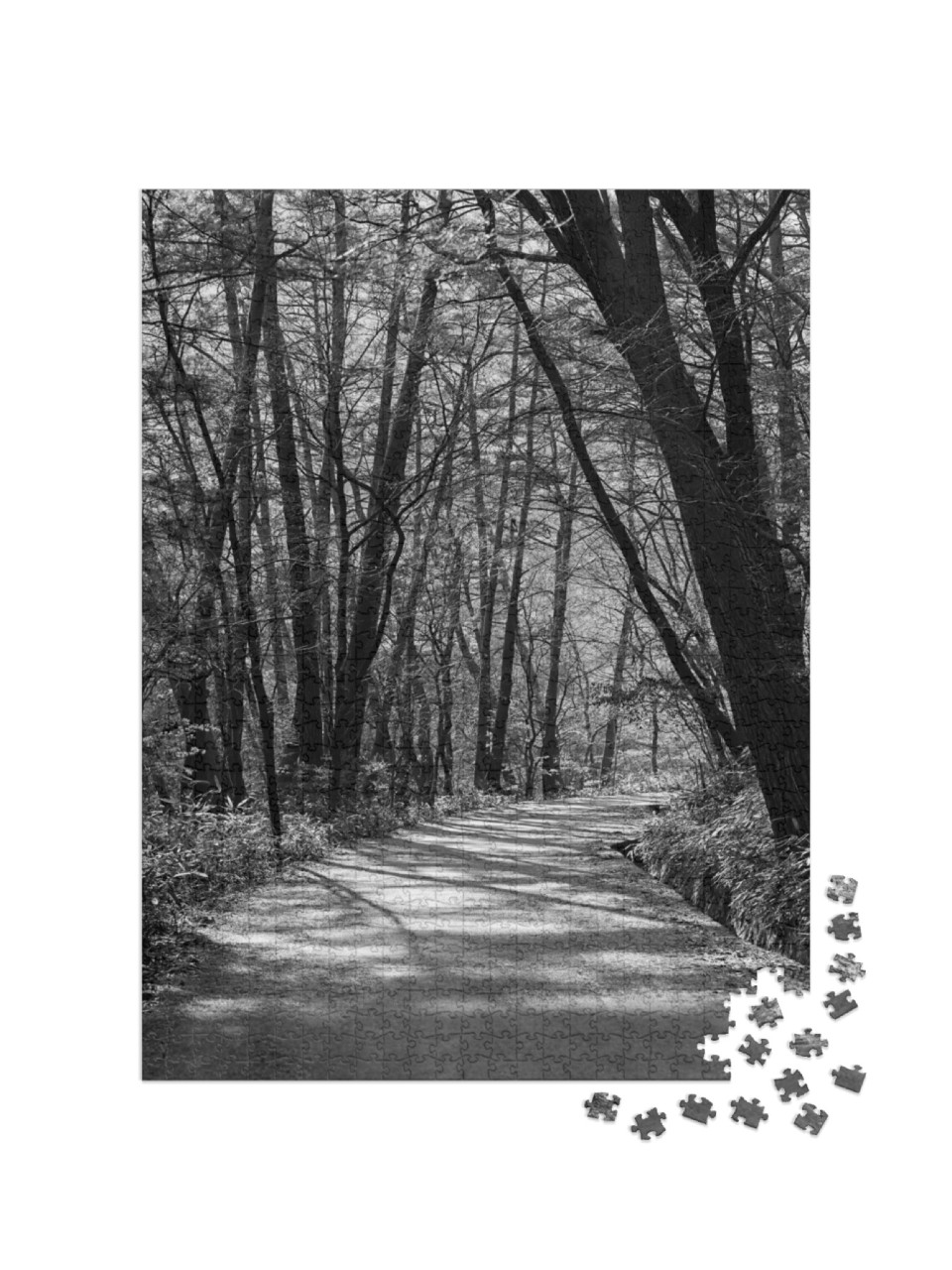 Puzzle 1000 Teile „Wunderschöner Weg im Wald, schwarz-weiß“