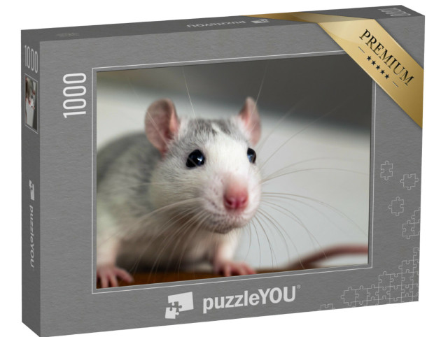 Puzzle 1000 Teile „Nahaufnahme einer lustigen weißen Hausratte“