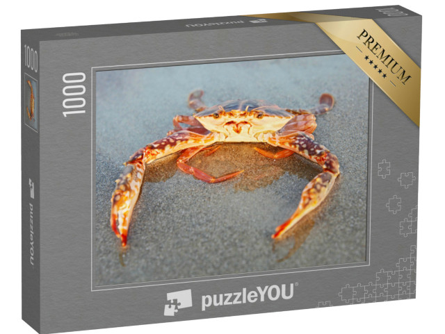 Puzzle 1000 Teile „Rote Krabbe am Strand von Goa, Indien“