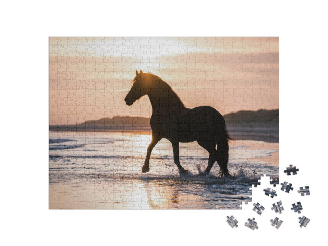 Puzzle 500 Teile „Schwarzes Pferd trabt frei am Strand gegen das Abendlicht“