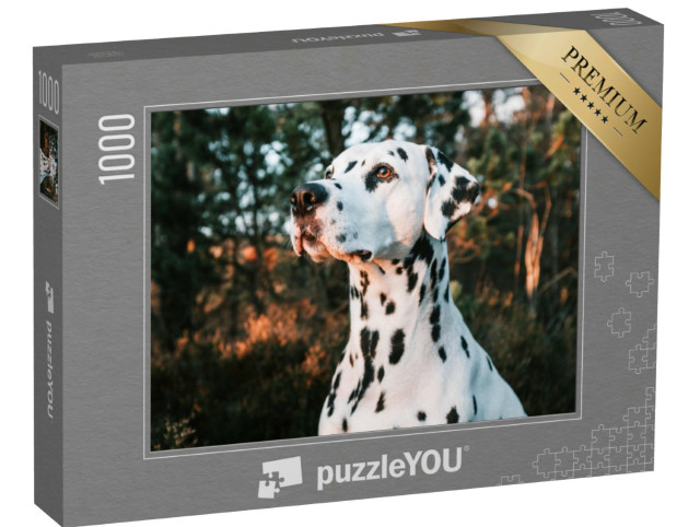 Puzzle 1000 Teile „Portrait: Dalmatiner, schöne Landschaft und Sonnenuntergang“