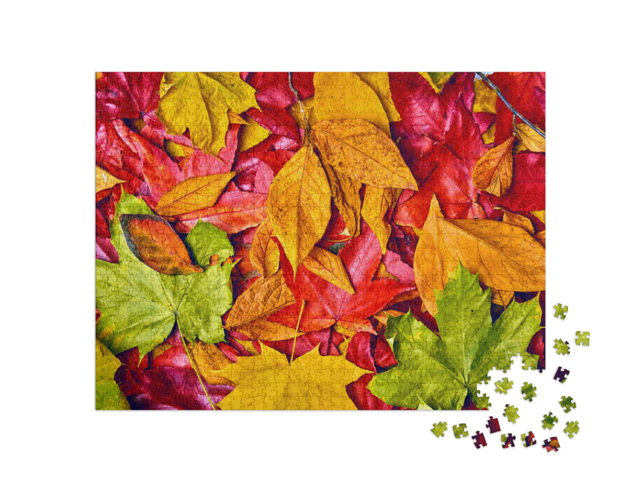 Puzzle 1000 Teile „Hintergrund von Herbstblättern“