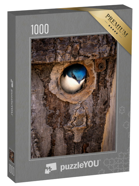 Puzzle 1000 Teile „Brutzeit: Eine Rauchschwalbe wagt sich aus ihrem Nest im Baumstamm“