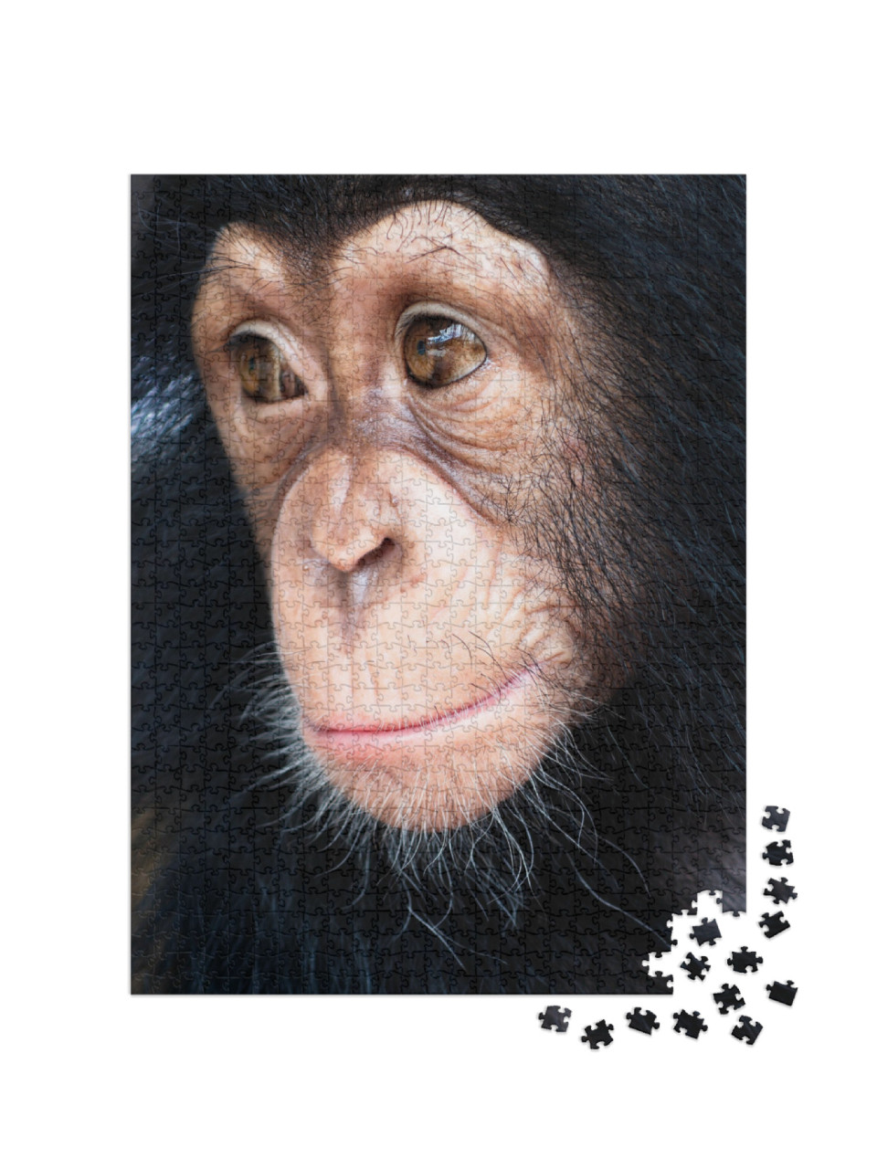 Puzzle 1000 Teile „Nahaufnahme von Mixed-Breed-Affe“