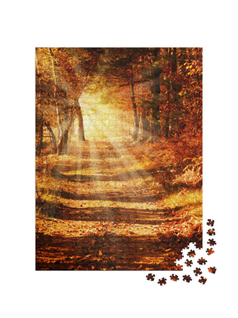 Puzzle 1000 Teile „Sonnenstrahlen auf einem Waldweg im goldenen Herbst“