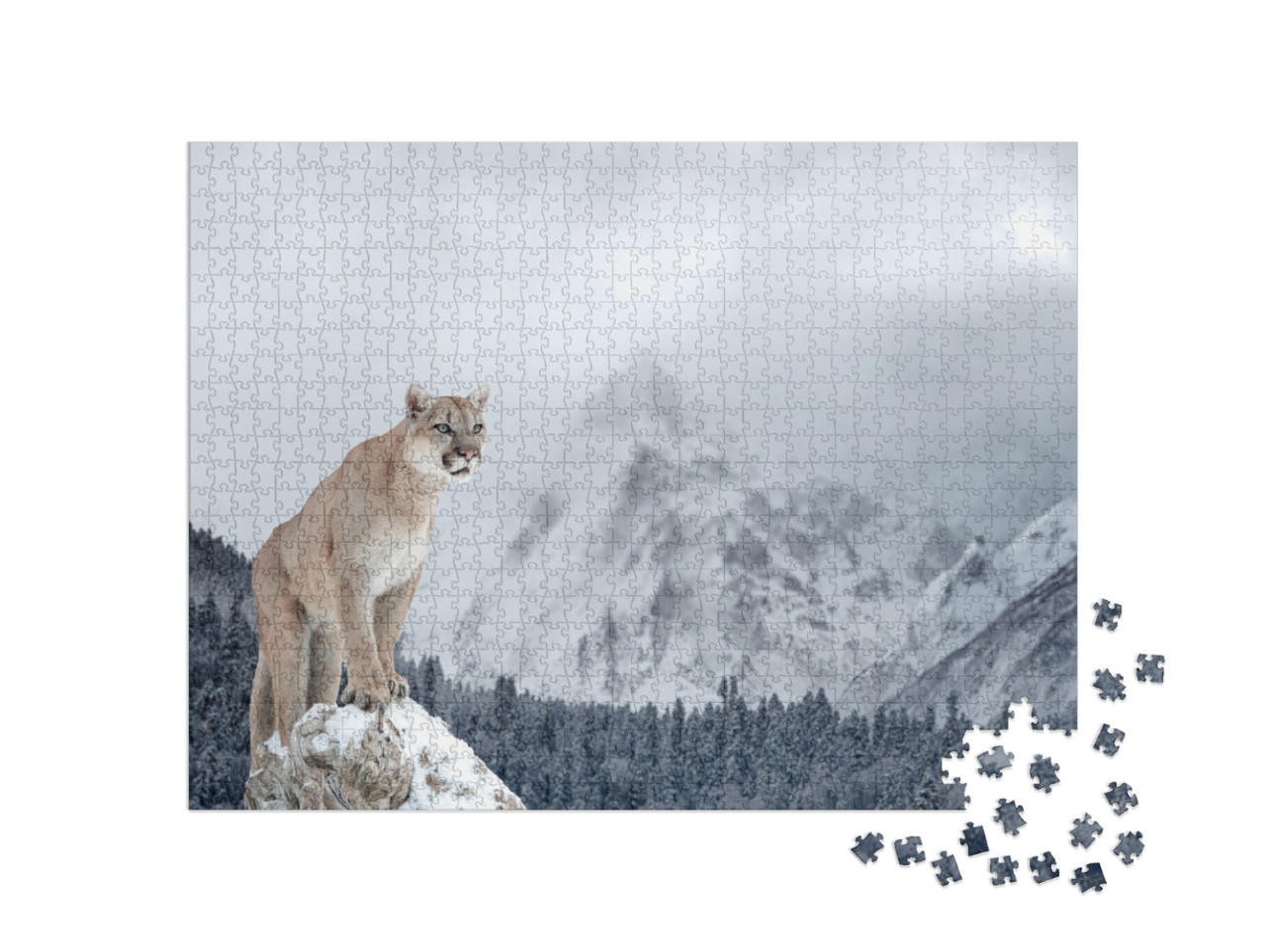 Puzzle 1000 Teile „Porträt eines Pumas in den winterlichen Bergen“