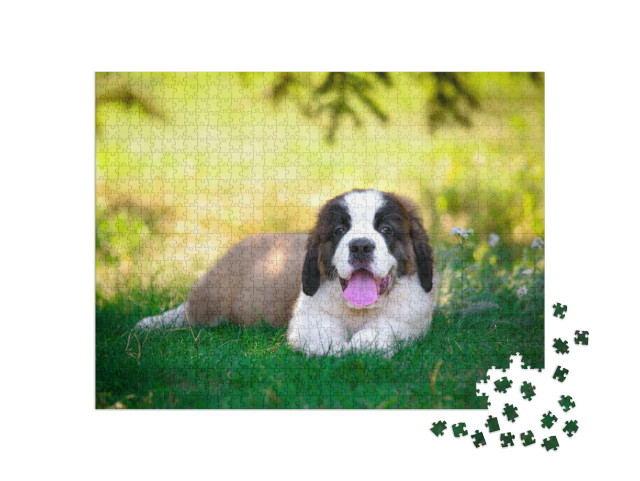 Puzzle 1000 Teile „Welpe“
