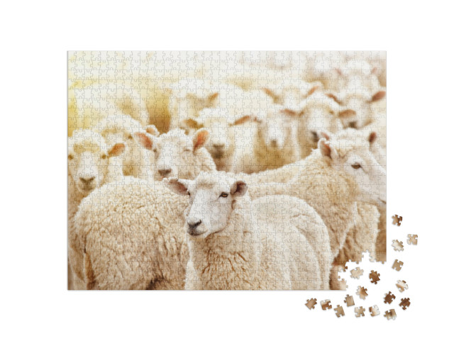 Puzzle 1000 Teile „Nahaufnahme einer Schafherde in einem Viehzuchtbetrieb“