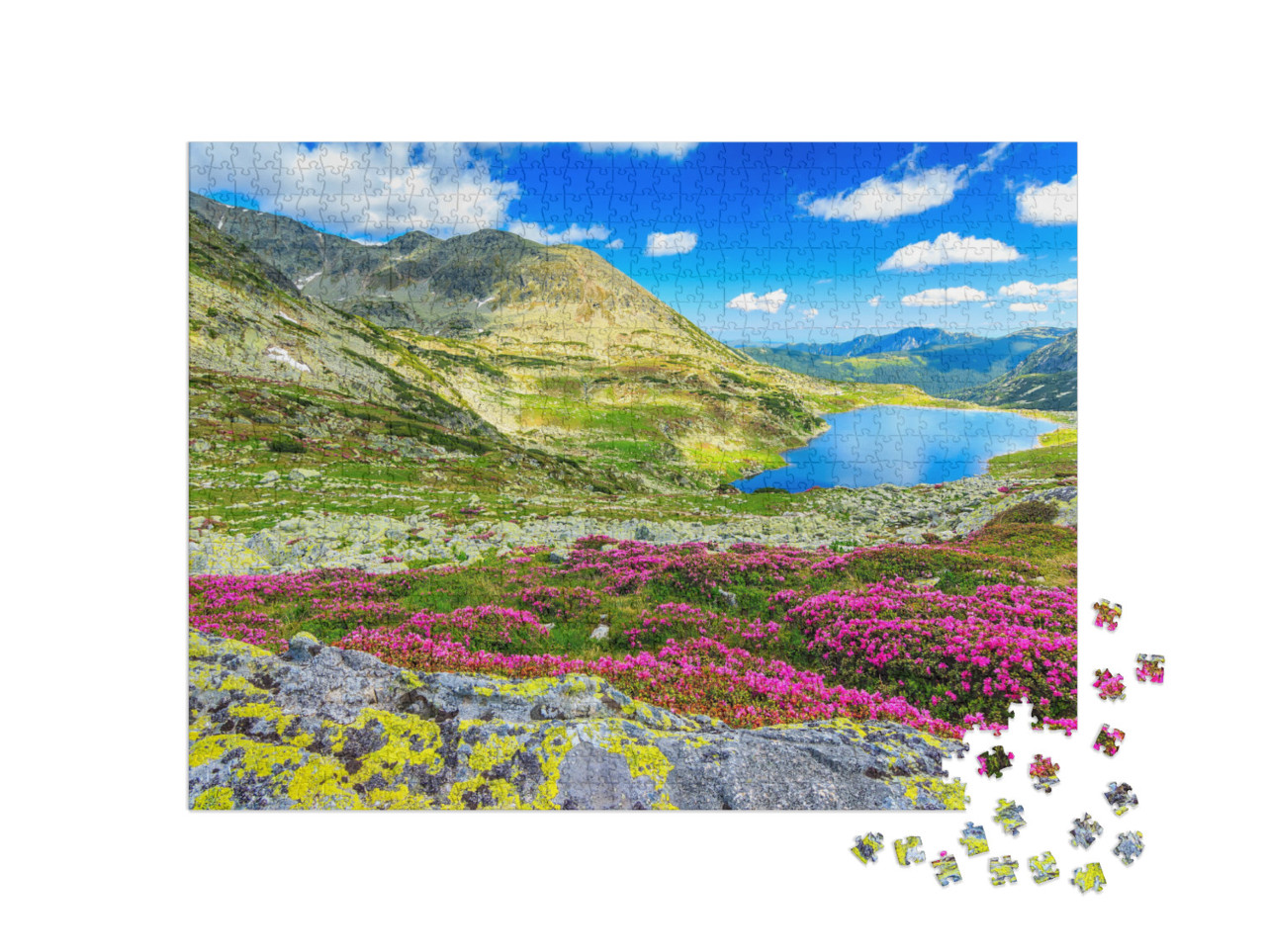 Puzzle 1000 Teile „Gletschersee, hohe Berge und rosa Rhododendron, Karpaten, Rumänien“