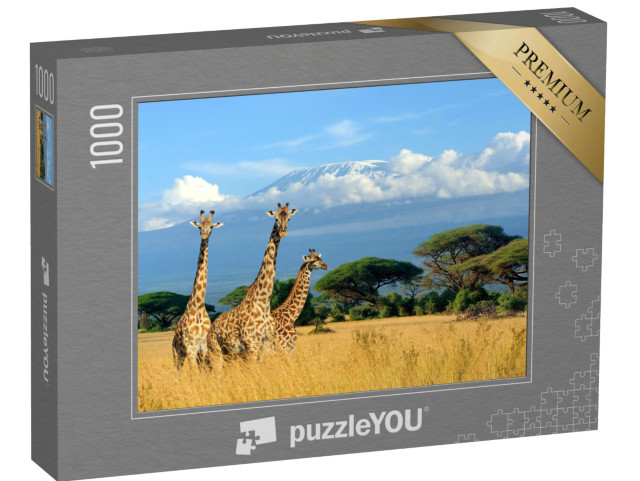 Puzzle 1000 Teile „Drei Giraffen im Nationalpark von Kenia“