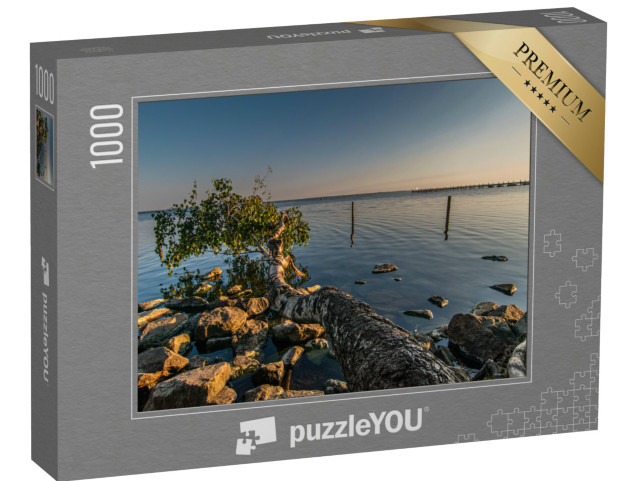 Puzzle 1000 Teile „Natur am Steinhuder Meer“