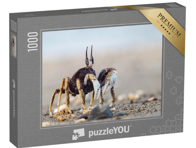 Puzzle 1000 Teile „Neugierige Krabbe am Sandstrand“