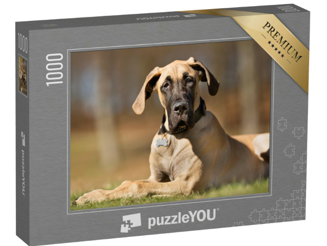 Puzzle 1000 Teile „Eine reinrassige Deutsche Dogge ohne Leine draußen in der Natur“